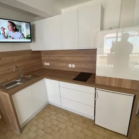 Nice Apt With Balcony On The Seafront Agde